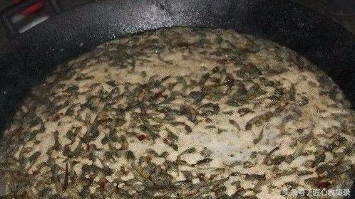 河北恶心吃瓜事件