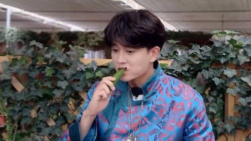 吃瓜刘宇宁,揭秘娱乐圈背后的故事