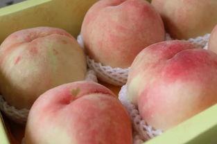 林北吃瓜,揭秘娱乐圈背后的那些事儿