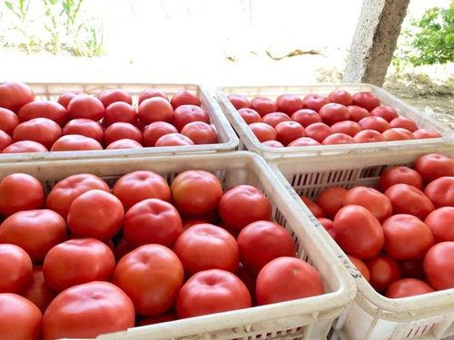 林北吃瓜,揭秘娱乐圈背后的那些事儿