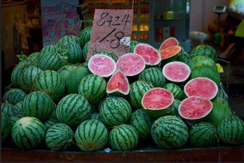 吃瓜去上海,探寻上海的风味与魅力