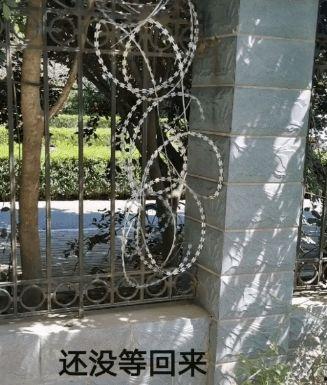 高校栏杆吃瓜,校园生活新现象引关注