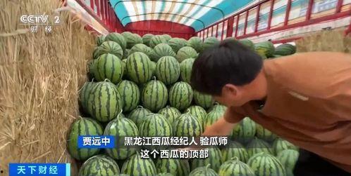 林深吃瓜,揭秘娱乐圈背后的秘密与真相